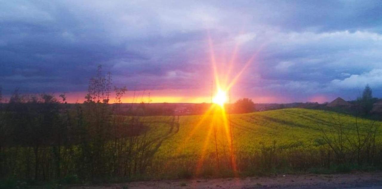 W Starej Szkole - Agroturystyka Pieczarki Экстерьер фото