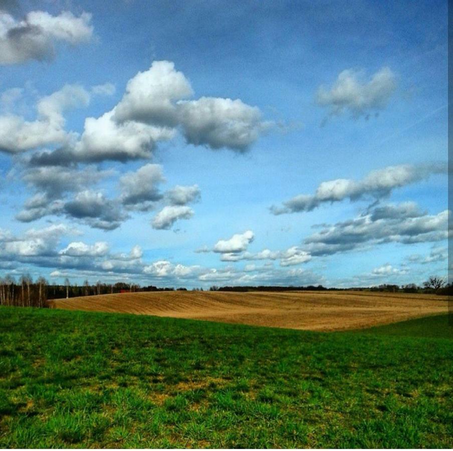 W Starej Szkole - Agroturystyka Pieczarki Экстерьер фото