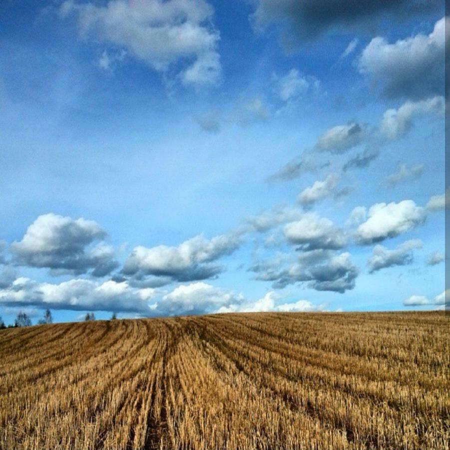 W Starej Szkole - Agroturystyka Pieczarki Экстерьер фото